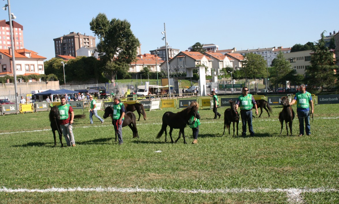 I CONCURSO MORFOLÓGICO CANDAS